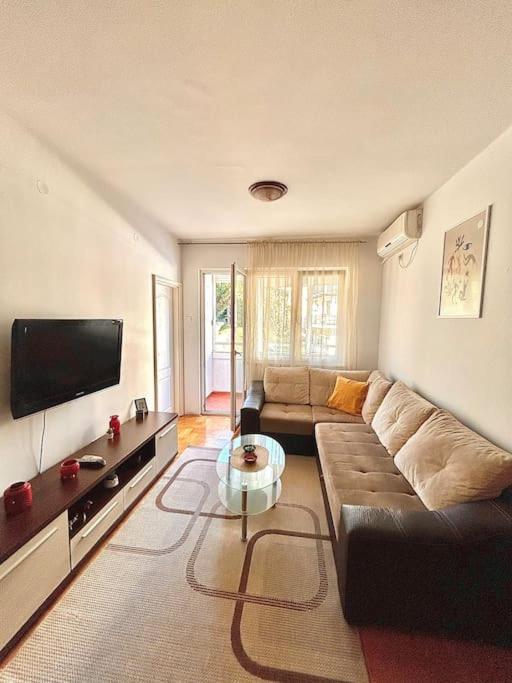 Cozy, Charming One Bedroom Apt Подгорица Екстериор снимка