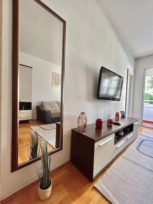 Cozy, Charming One Bedroom Apt Подгорица Екстериор снимка
